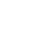 C323 C323