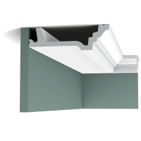 C305 C305