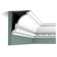 C301 C301